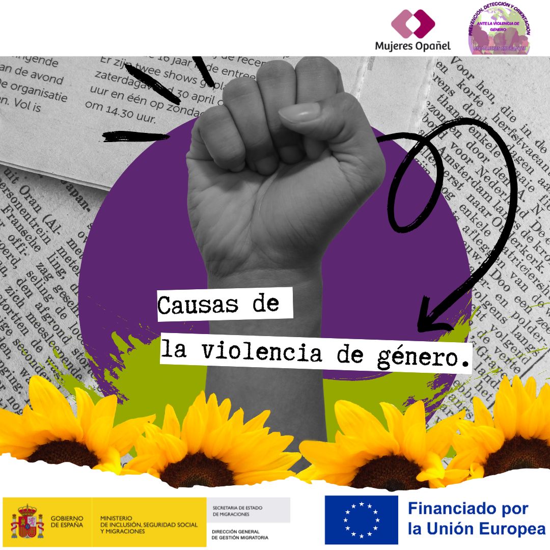 Lee más sobre el artículo CAUSAS DE LA VIOLENCIA DE GÉNERO